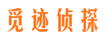 天元市调查公司